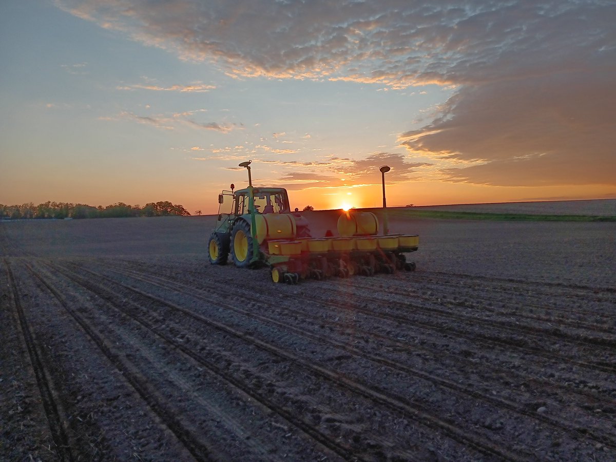 Thomas Bird tweet media