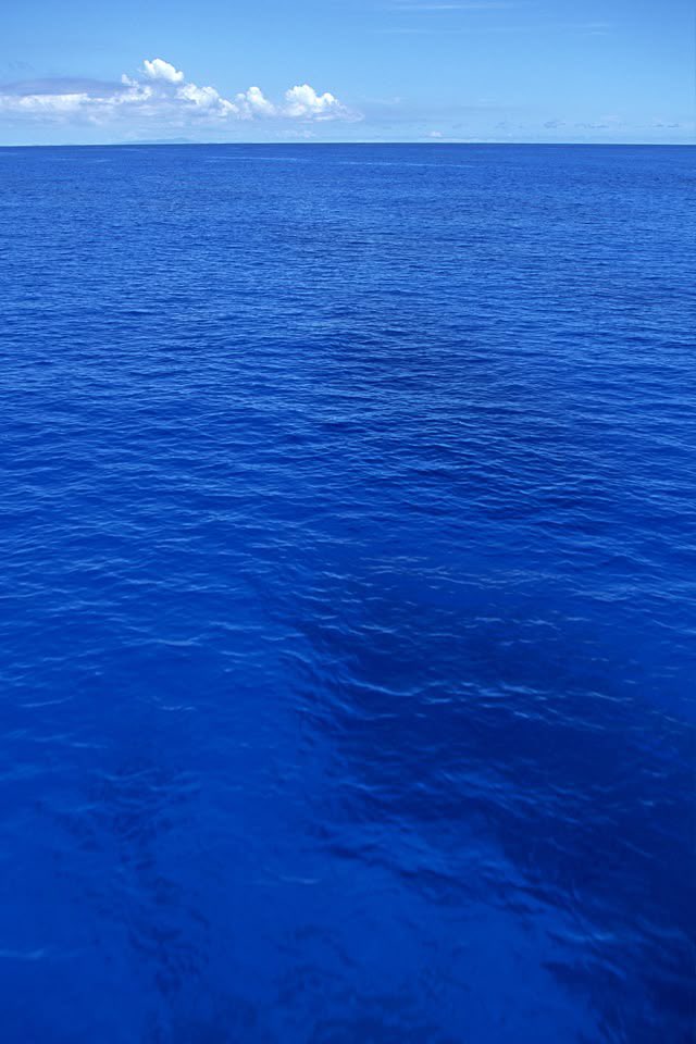 綺麗な海