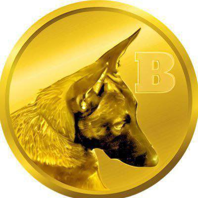 Please don't ask me what I saw 👀 #F2B #Broccoli #BNBChain