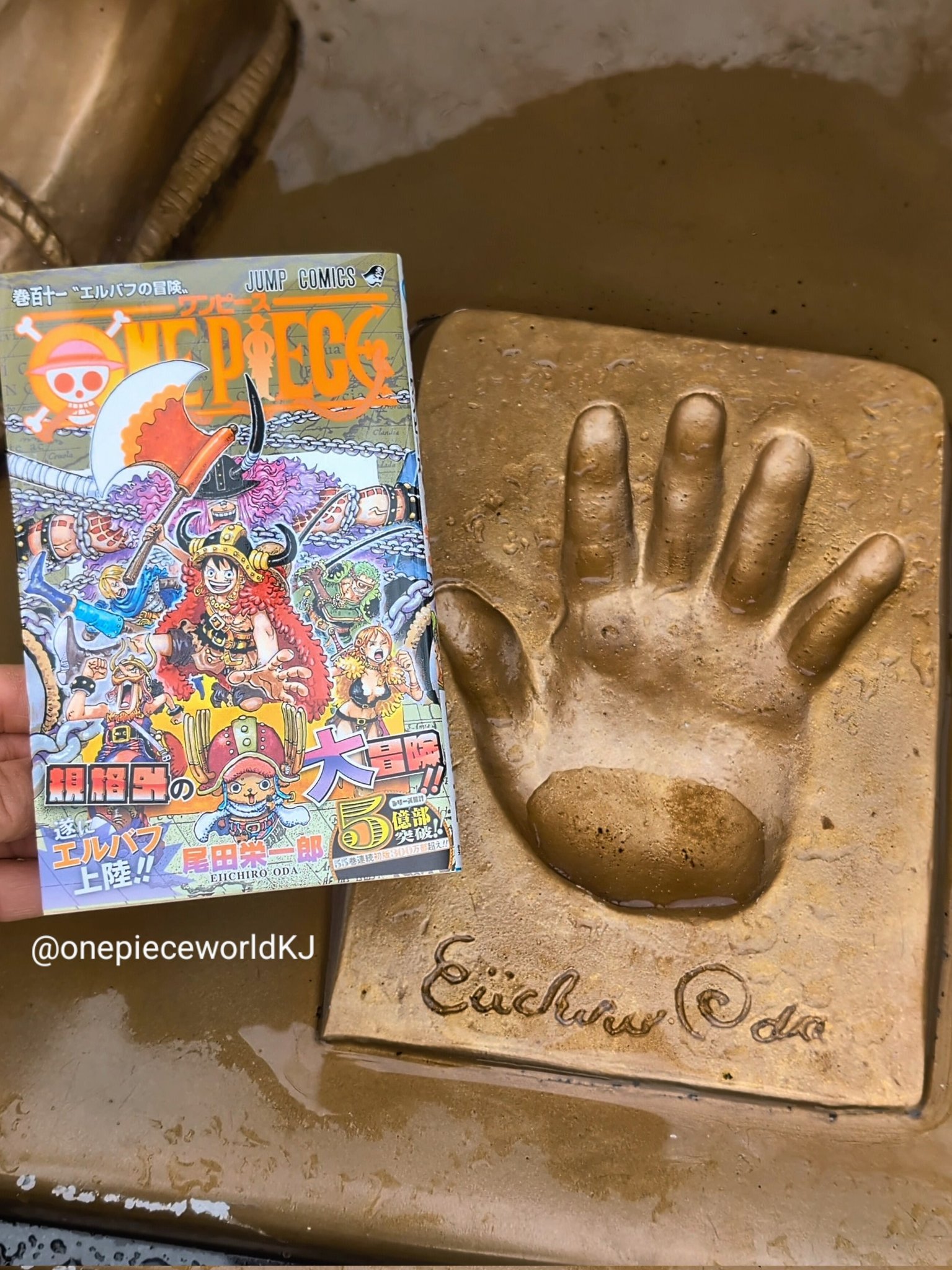 ONE PIECE ワンピース 1〜111巻 既刊全巻+関連本 計113冊セット ワンピース 表紙 最新刊 ONE PIECE ワンピース 1〜111巻 既刊