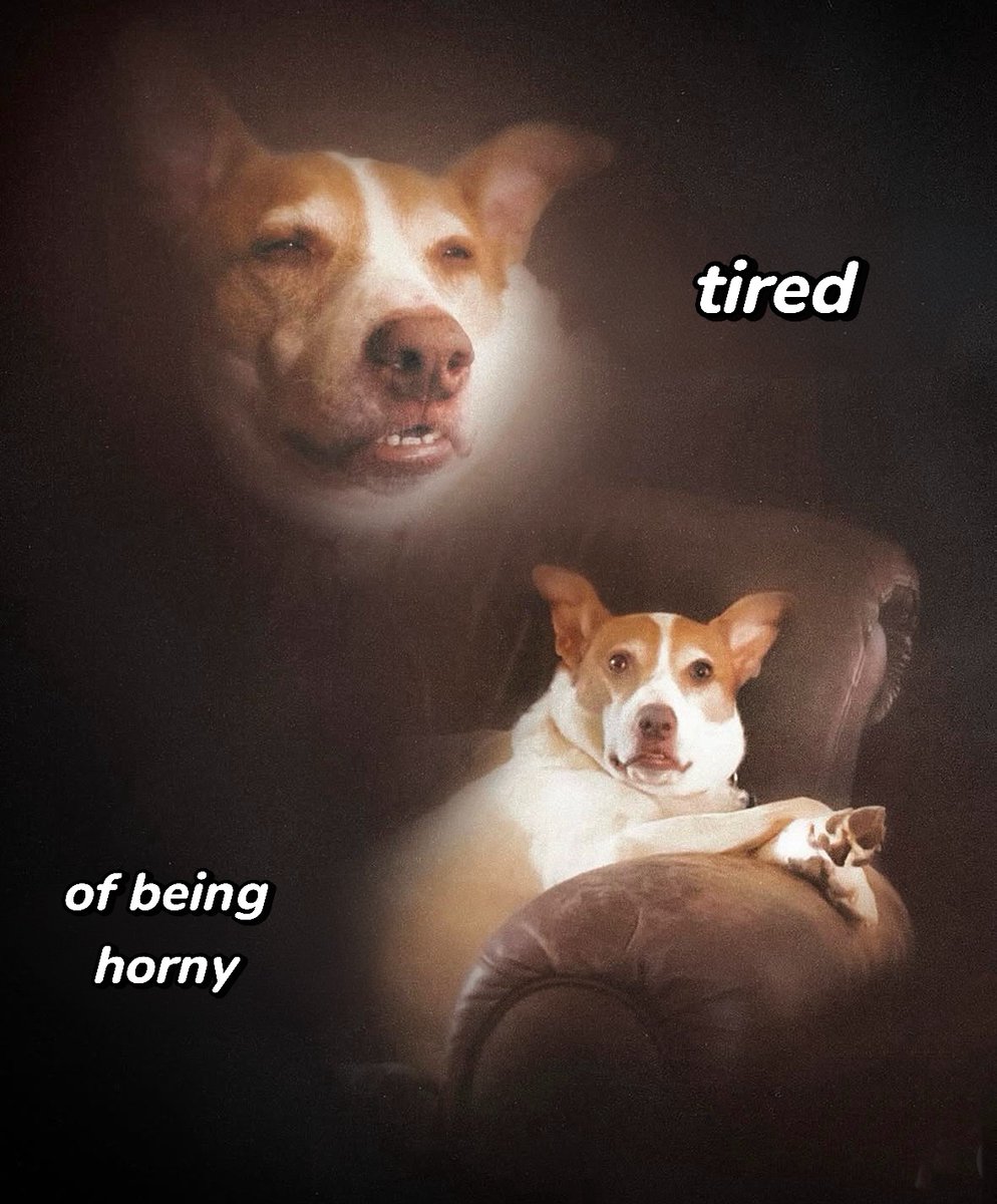 https//t.co/yK2lKD2BfS