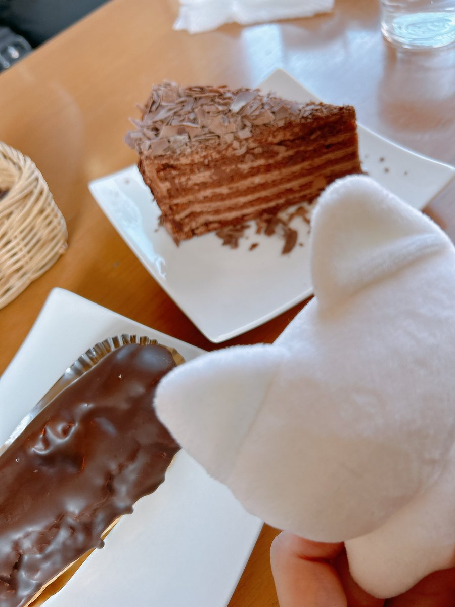 函館にきました！