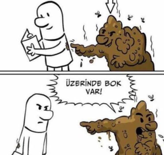 Tanıdım seni bokçusun sen.