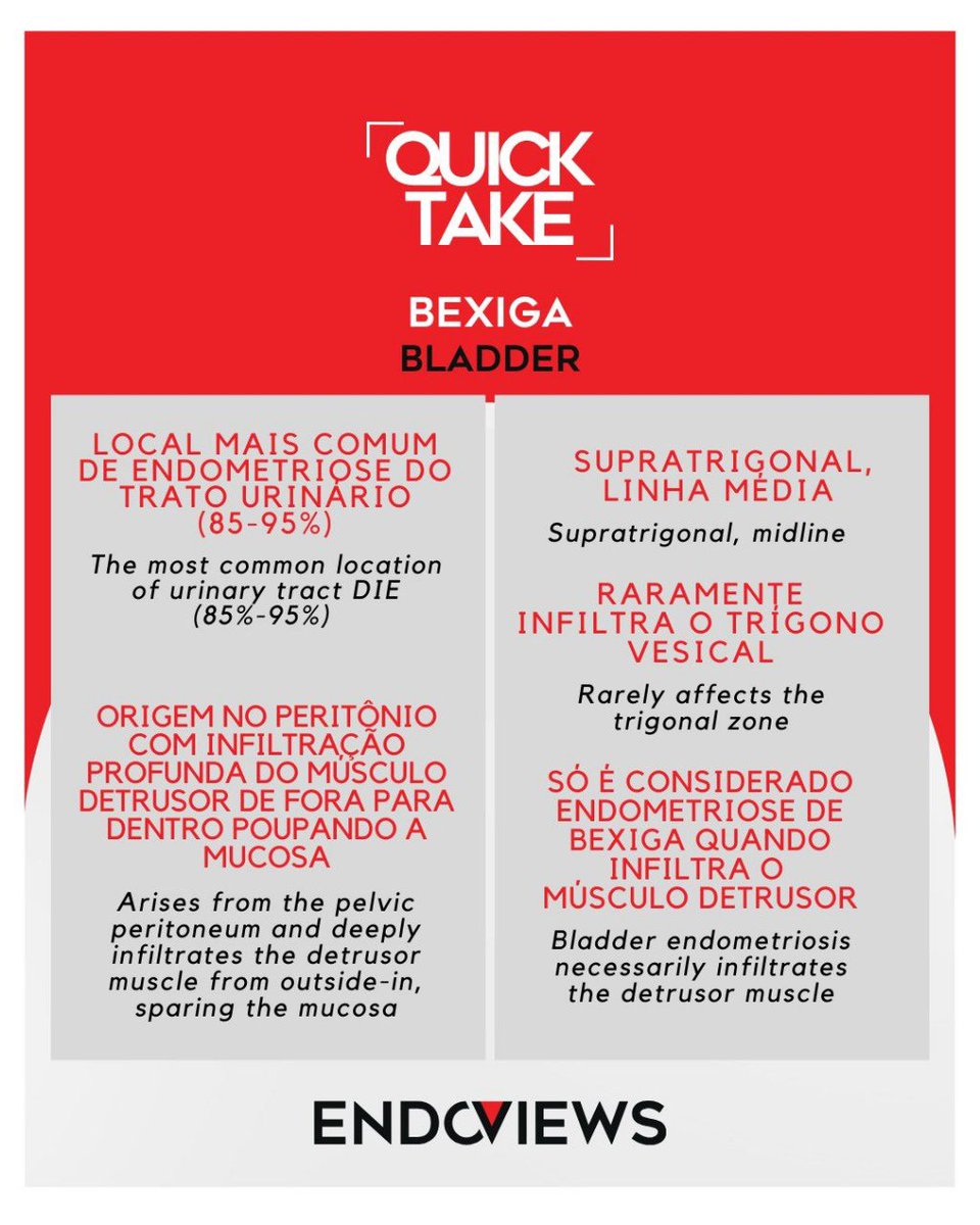 endoviews's tweet image. Dicas rápidas para ajudar na sua prática clínica
Quick tips to improve your clinical practice
.Endoviews: Educação e Pesquisa em Endometriose
.Endoviews: Education and Research in Endometriosis