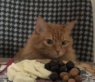 merbeko (@merbeko) on Twitter photo 