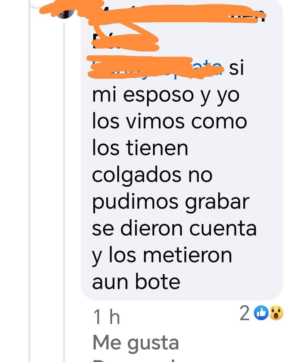 troldans's tweet photo. Todo indica que hay personas que se están dedicando a matar y masacrar, Perritos ya se había dicho anteriormente y las asociaciones. Animalistas, lo han difundido sin obtener la respuesta de autoridades
  @makugo @FeliFerMacias https://t.co/umFsH7ftUY