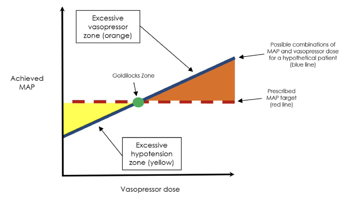 We have a third publication today, an Editorial in CCR. Excessive vasopressors or excessive hypotension - searching for the goldilocks zone in mean arterial pressure targets

sciencedirect.com/science/articl…