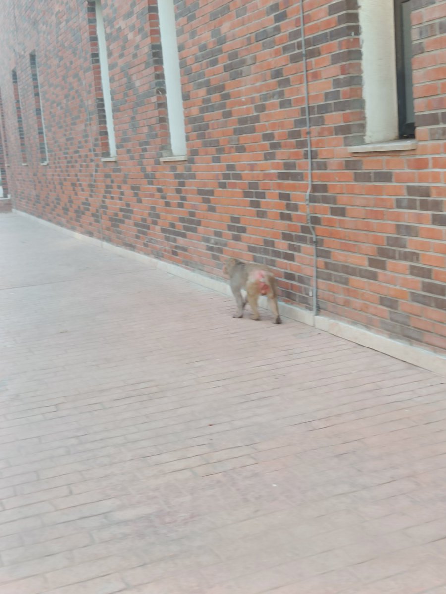 RaoSoumit's tweet photo. We meet every morning now https://t.co/x2MktYK84x