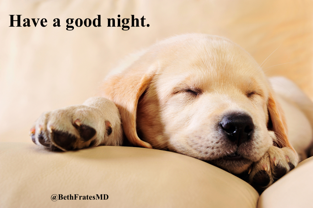 Goodnight. Wishing you restful sleep for this new week.
Sleep tight. Sweet dreams. 🛌😴💤

#goodnight #sleep #sweetdreams #dogs