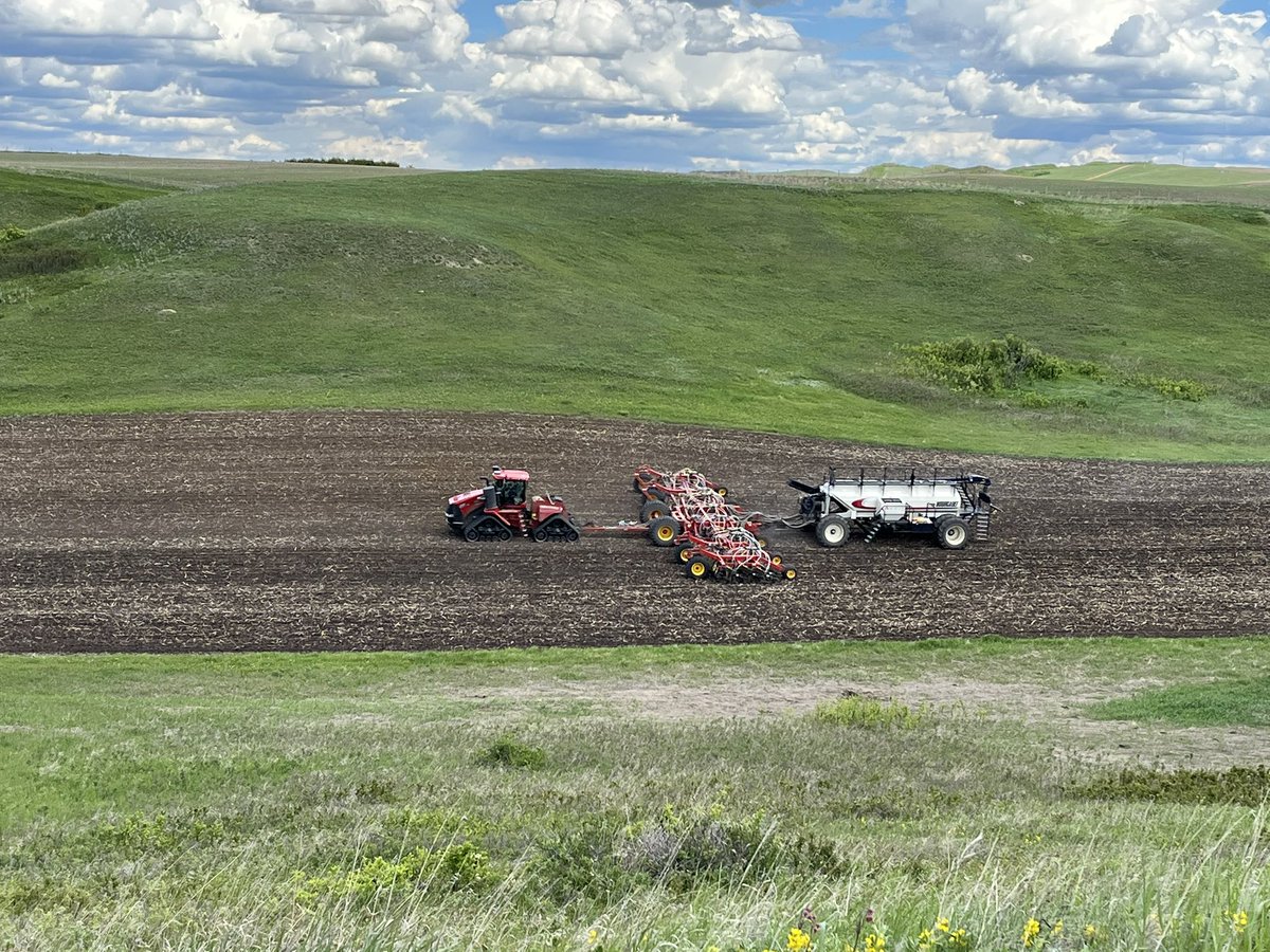 Rusty the Chem guy tweet media