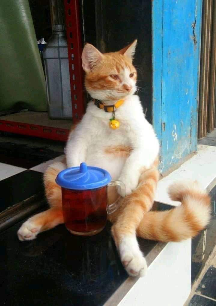 Dorskin - Solusi #1 Kulit Sehat Bebas Jerawat tweet media