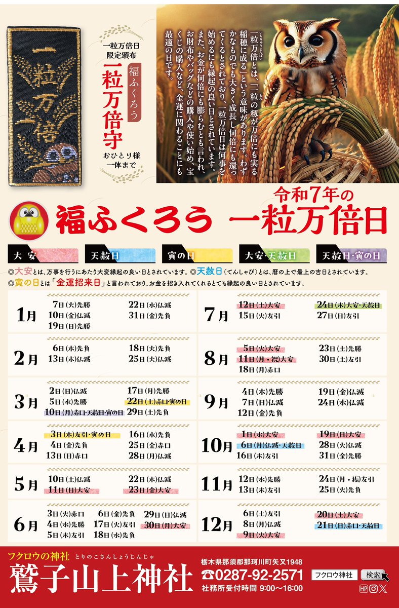 　❀金富士梟の集い❀ Tommy様専用 ❀金富士梟の集い❀