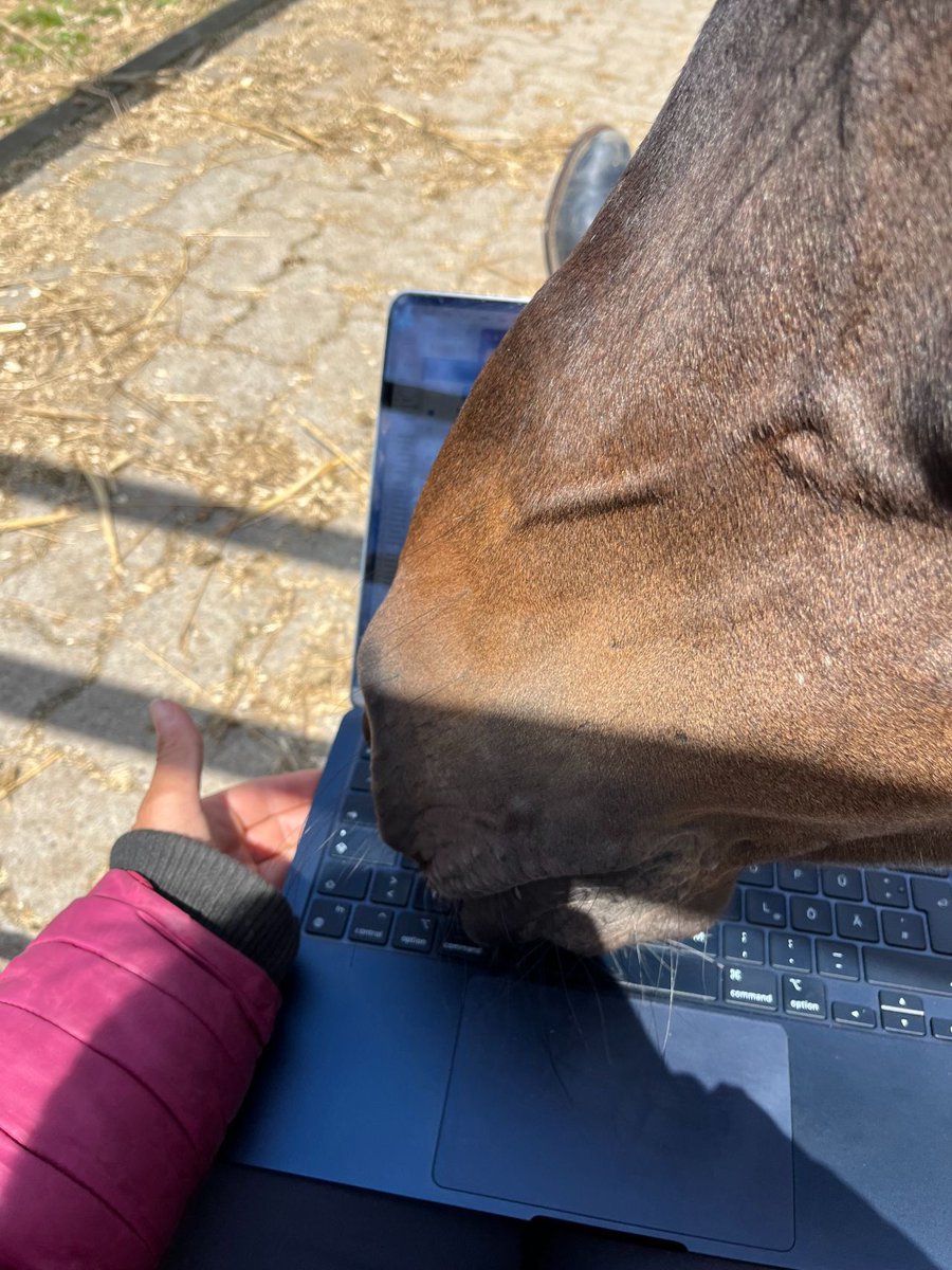 Meet our Fritzi – our Feelgood Manager. Fritzi is just as much a part of our team as all the other human and non-human colleagues 🧡. Want to be part of our team and cuddle one of our cute furry team members or even bring your own? Check out our job openings on our website!