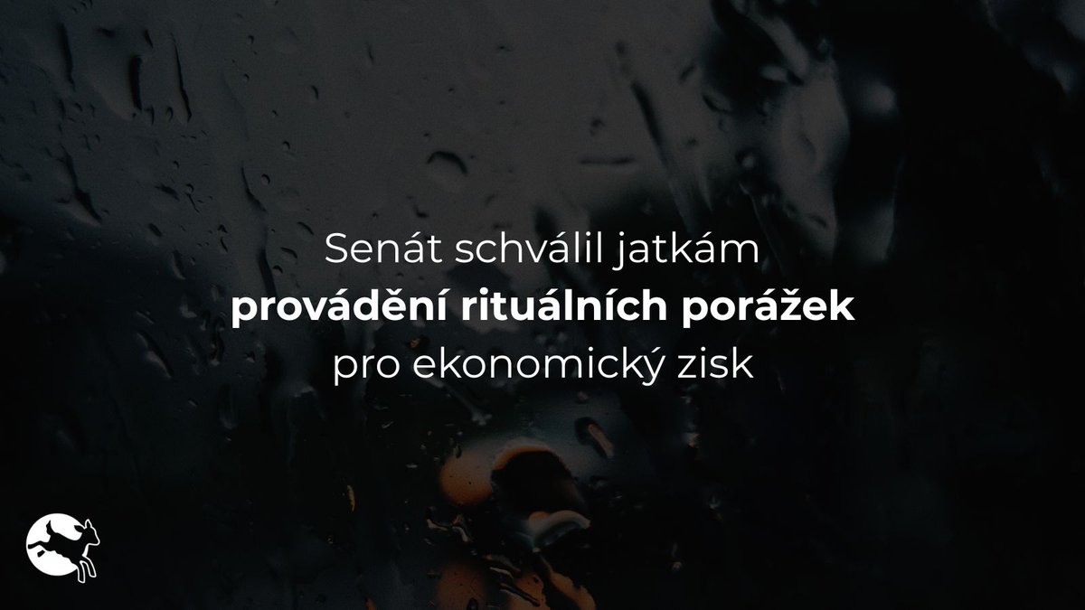 CIWF_CZ's tweet photo. Rituální porážky pro ekonomický zisk dostaly v Česku zelenou. Cílem má být prý snížit počet zvířat vyvážených z ČR do třetích zemí. 
Záměr obchodovat s masem namísto se živými zvířaty podporujeme, ale novela nedokáže zaručit, že ke snížení počtu vyvážených zvířat opravdu povede. https://t.co/VnK1V8QyTK
