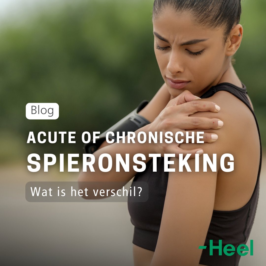 Heb je een pijnlijke spier? Kleurt je huid ook rood rond de spier? Dan heb je wellicht een spierontsteking. Vaak gaat het om een acute infectie, maar soms kan een ontsteking chronisch zijn. In deze blog vertellen we er meer over. 

👉 ow.ly/GVn450Va0U3