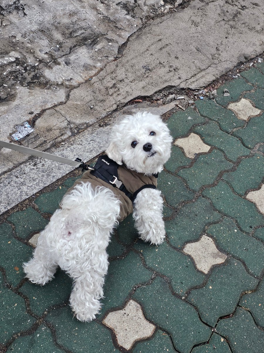 설이 자만추... 이게 가능한거였냐고...?
예차니한테 양해구하고 설이만 찍음😭🥹