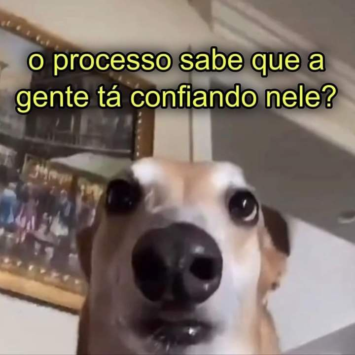 Terror do Cotidiano (@terrorcotidiano) on Twitter photo 