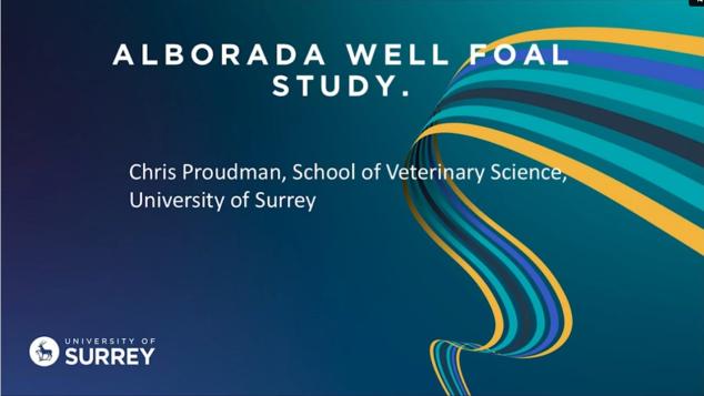 Pinkham Equine tweet media