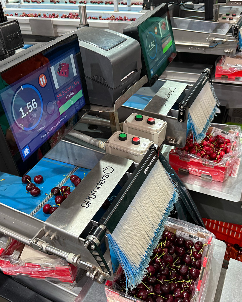 GPGraders's tweet image. A more consistent box weight comes from clearly displaying information to your operators.
--
#cherrysorting #cherrygrading #defectdetection #superiorsortingtechnology #gpVision #VisionSorting