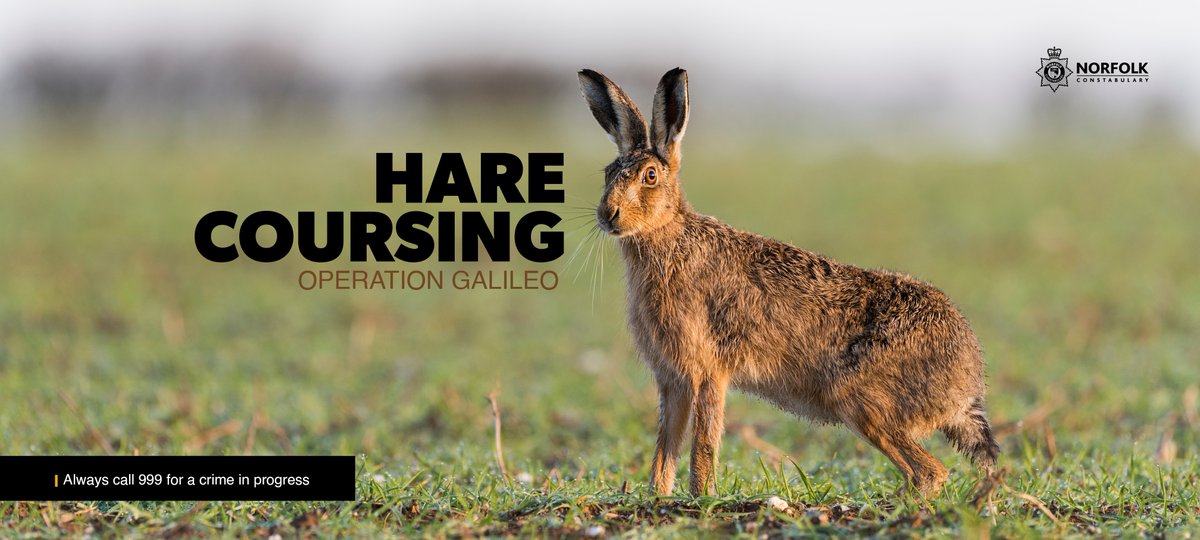 Three people were arrested and charged after reports of hare coursing in Tilney on Friday Afternoon. 5 dogs were also seized. 

orlo.uk/G83Sk
