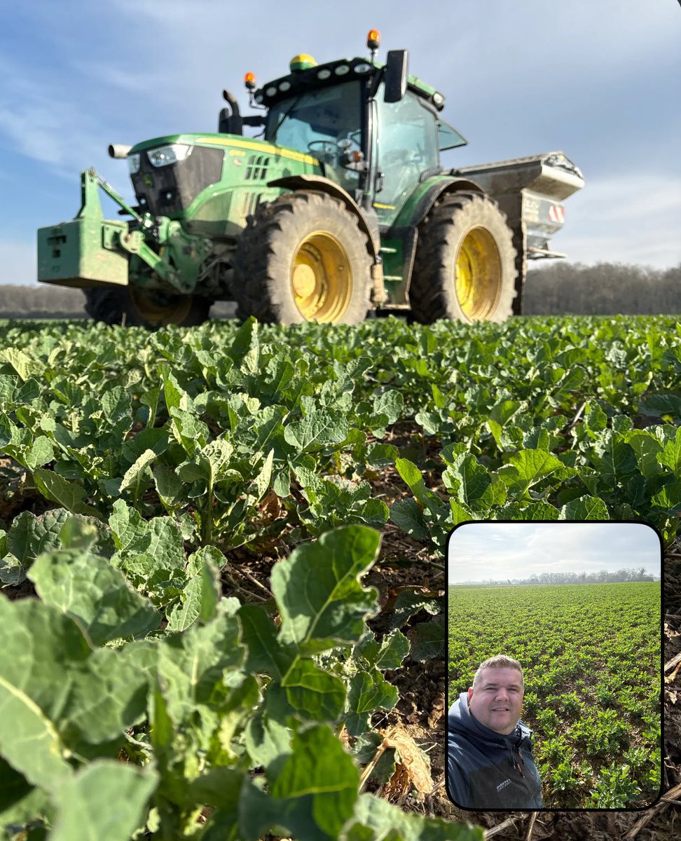 HallouinCharlin's tweet photo. Ça envoi du colza dans ce champs là 😎!
Variété #Helypse semée un jour de St Amour 💛😍💚
🤞🏻🤞🏻🤞🏻🤞🏻🤞🏻🤞🏻 https://t.co/TLT1FVCgAC
