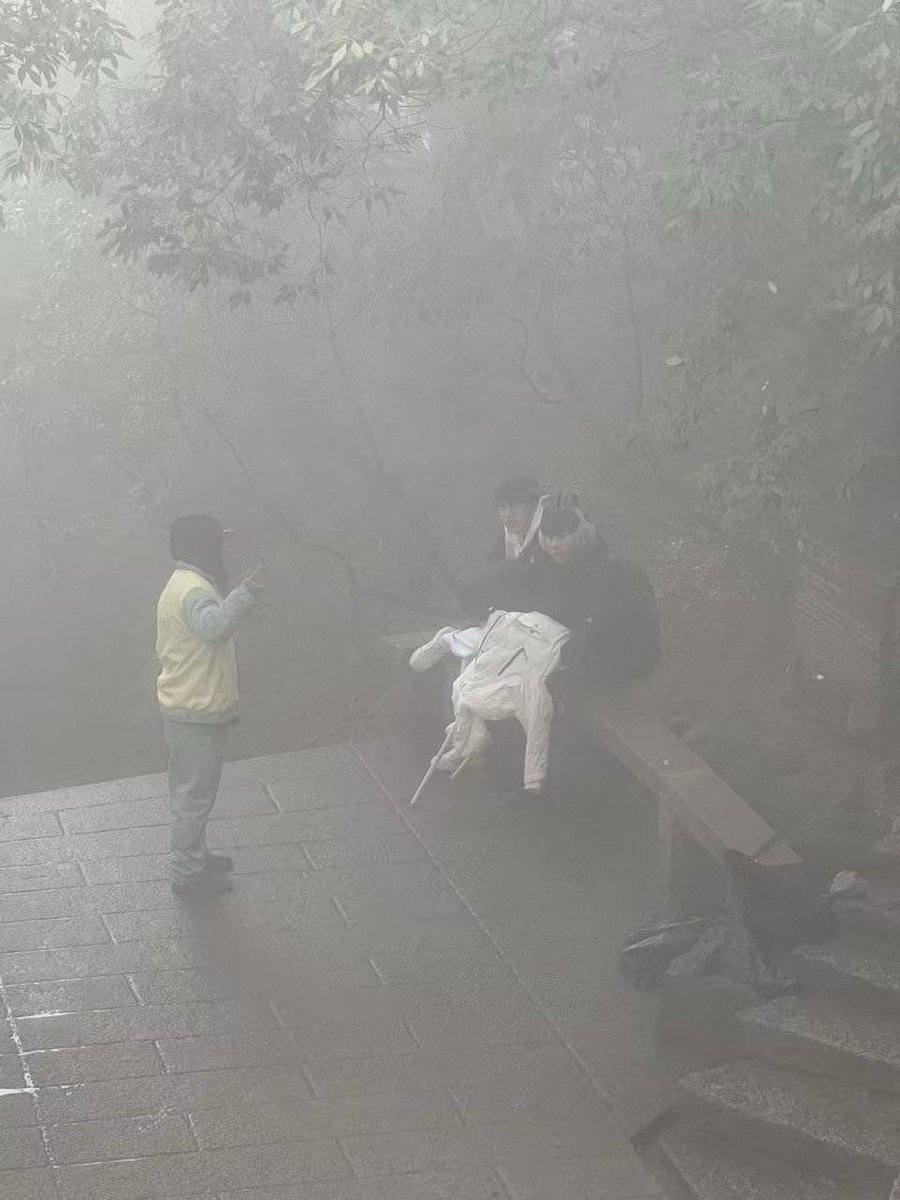 Romantic_Code_'s tweet image. 《绝望的承勇》

#Tarzan #Xiaobai