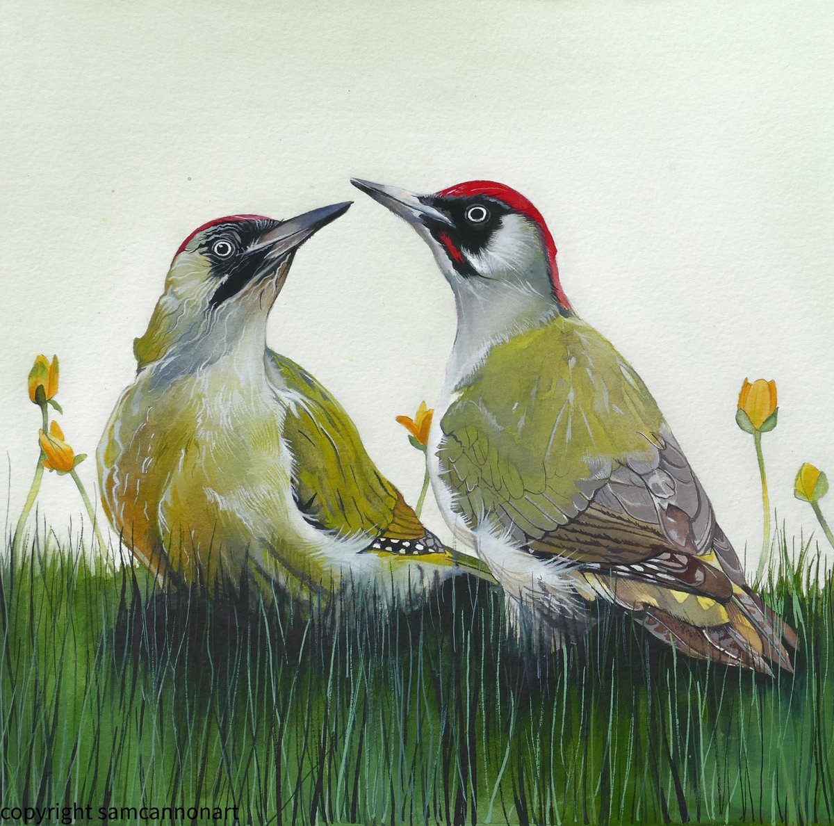 Sam Cannon Art tweet media
