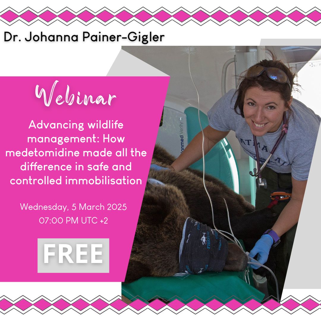 Don't miss out on this free webinar about the use of Medetomidine in wildlife immobilisations, held by #JohannaPainerGigler, on the 5th of March, at 6pm (7pm UTC+2)! You can join via this link: wildpharmwebinars.co.za (and the webinar will be recorded and available afterwards)