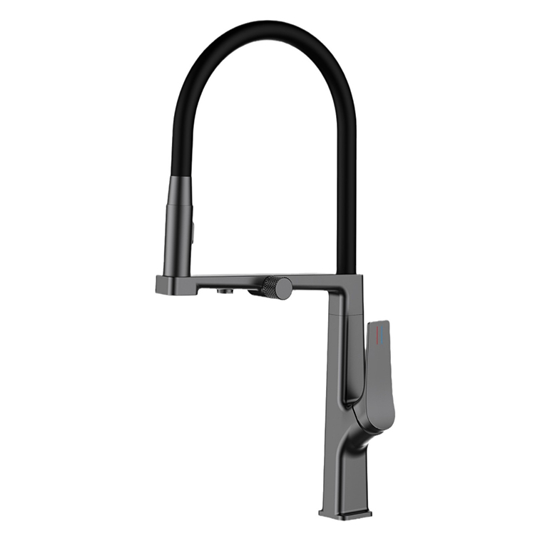 3 in 1 Kitchen Faucet with Filter