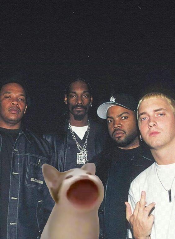 cookeronchain's tweet photo. @008Nate the thesis is simple
the cat pops #thug4life https://t.co/U5dBQA7WH6