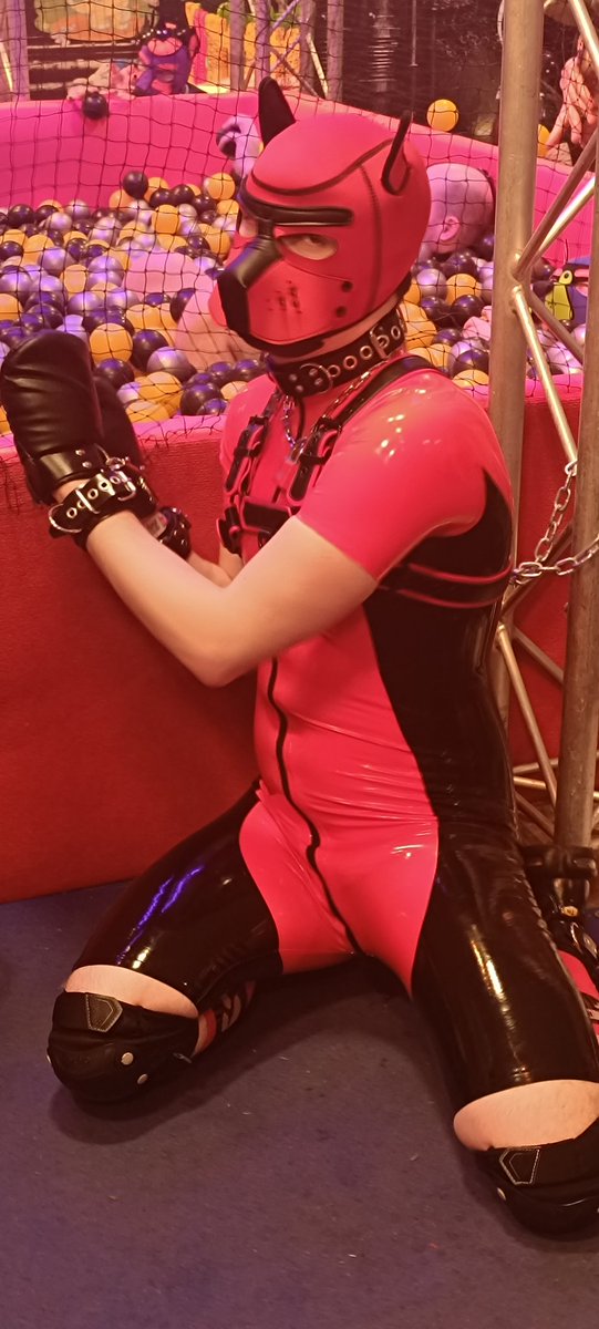 Le p'tit <a href="/Yuky_pup/">Yuky</a>  a était un bon puppy a la @darklands il a bien gardé la piscine a baballes 🐾😘😜🐶