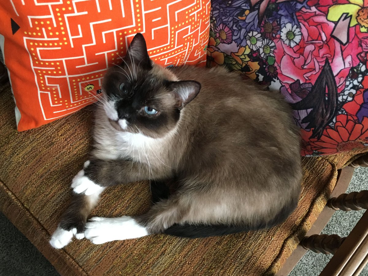 Evan Hayden tweet media