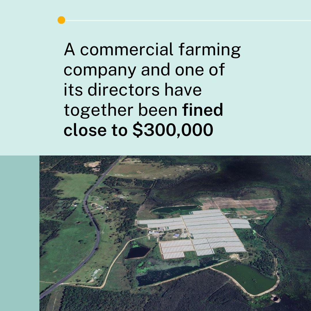 An irrigator has been found guilty and fined for illegally building dams near wetlands.

Read more: bit.ly/4ksGoCf