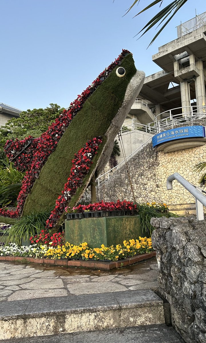 walkermimosa's tweet photo. 惰性でユルくやってる #DQウォーク ですが、ランドマークの近くに行く機会があると、やっぱり「おみやげ」買っちゃう〜
今後なかなか…もう来る機会ないかもしれないし…とか、つい思っちゃって😅
今回はちんすこうをゲット！ https://t.co/9N5SC4jLHw
