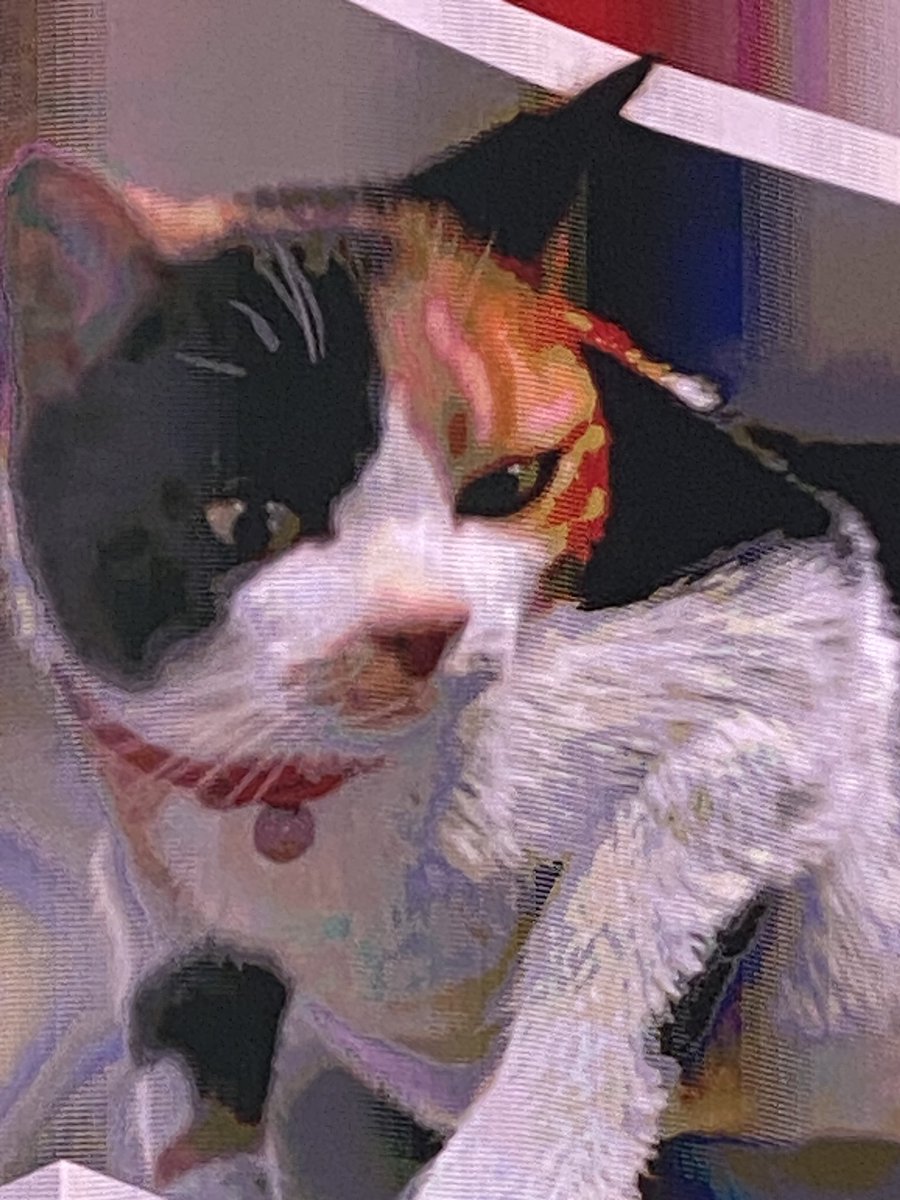 巨大過ぎる^o^ニャンコ

恐竜サイズ🦖

可愛い😍