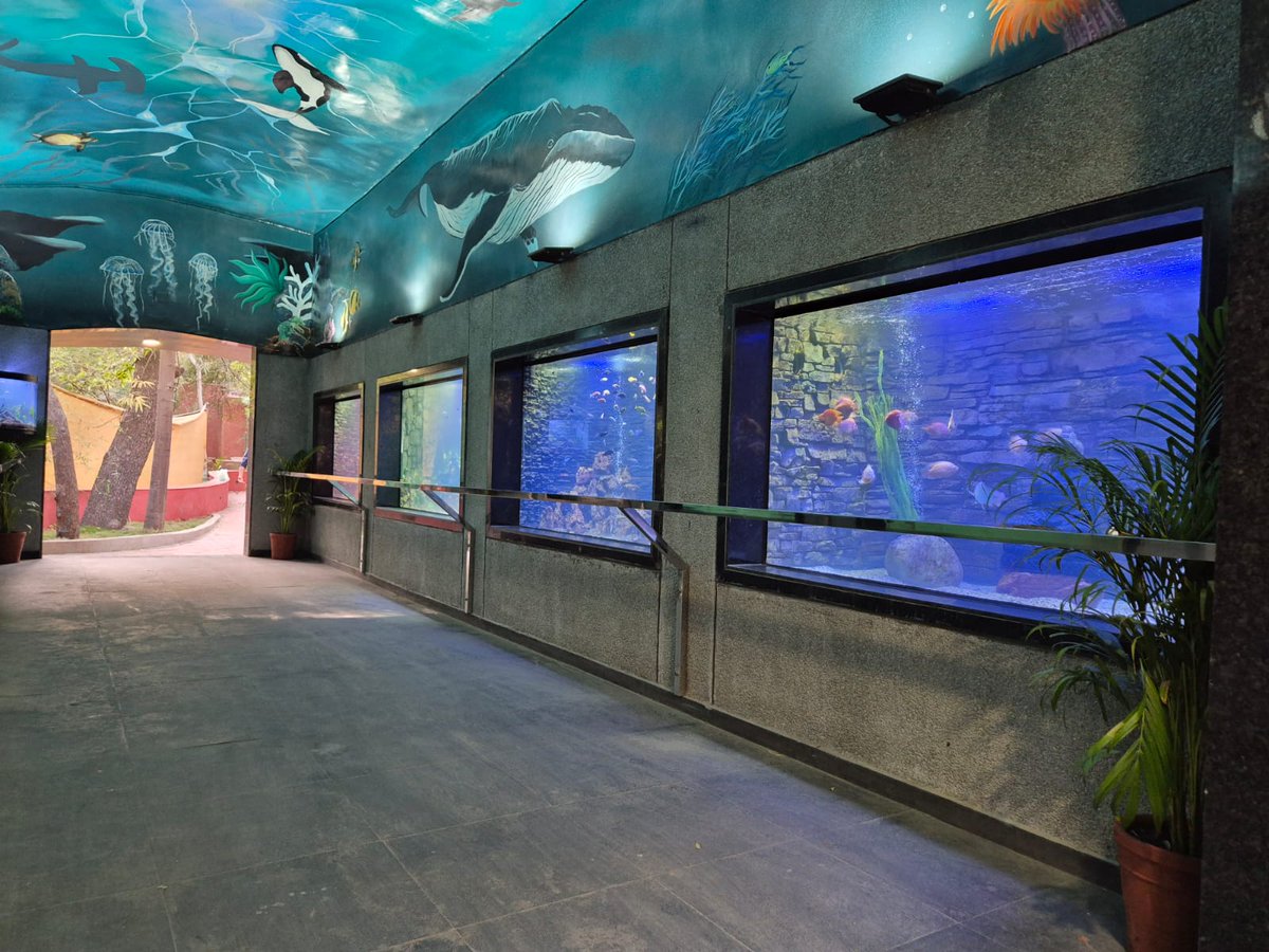 Astral Foundation tweet media