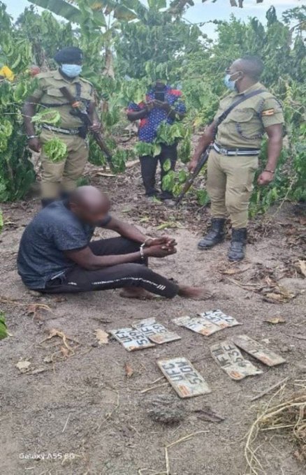 UPDATE: Police in Lwengo have arrested Jumba Rashid after discovering several suspected stolen motorcycle number plates hidden in his banana and coffee plantation.
#Radio5News