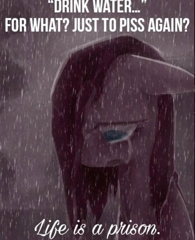 🕐HOURLY🕑 shitpost (@hourly_shitpost) on Twitter photo 