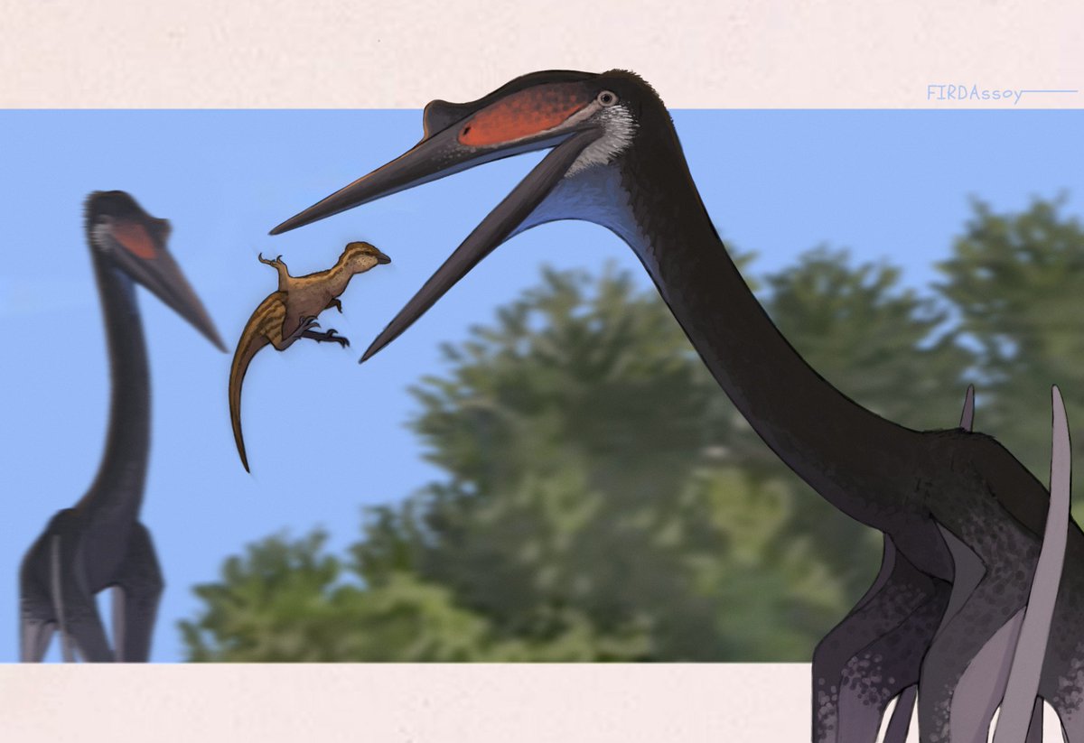 "Devoured"
In the Hell Creek Formation, a helpless baby Pectinodon struggled in the shadows. A hungry Infernodracon struck swiftly, its jaws closing around the tiny dinosaur. With a final snap, the predator devoured its prey. 
#paleoart #paleontology #artwork