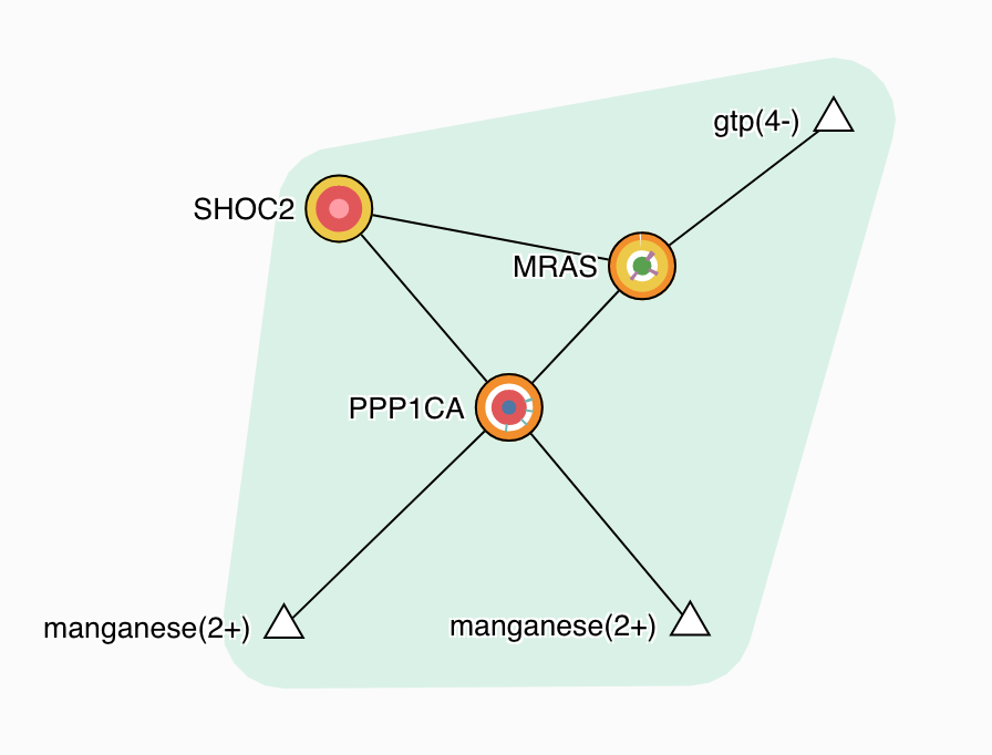 Interested in RASopathy and RAS-driven cancers? This month we feature SHOC-MRAS holophosphatase complexes.....CPX-25716, CPX-25719, CPX-25720. Visit the Complex Portal to learn more!