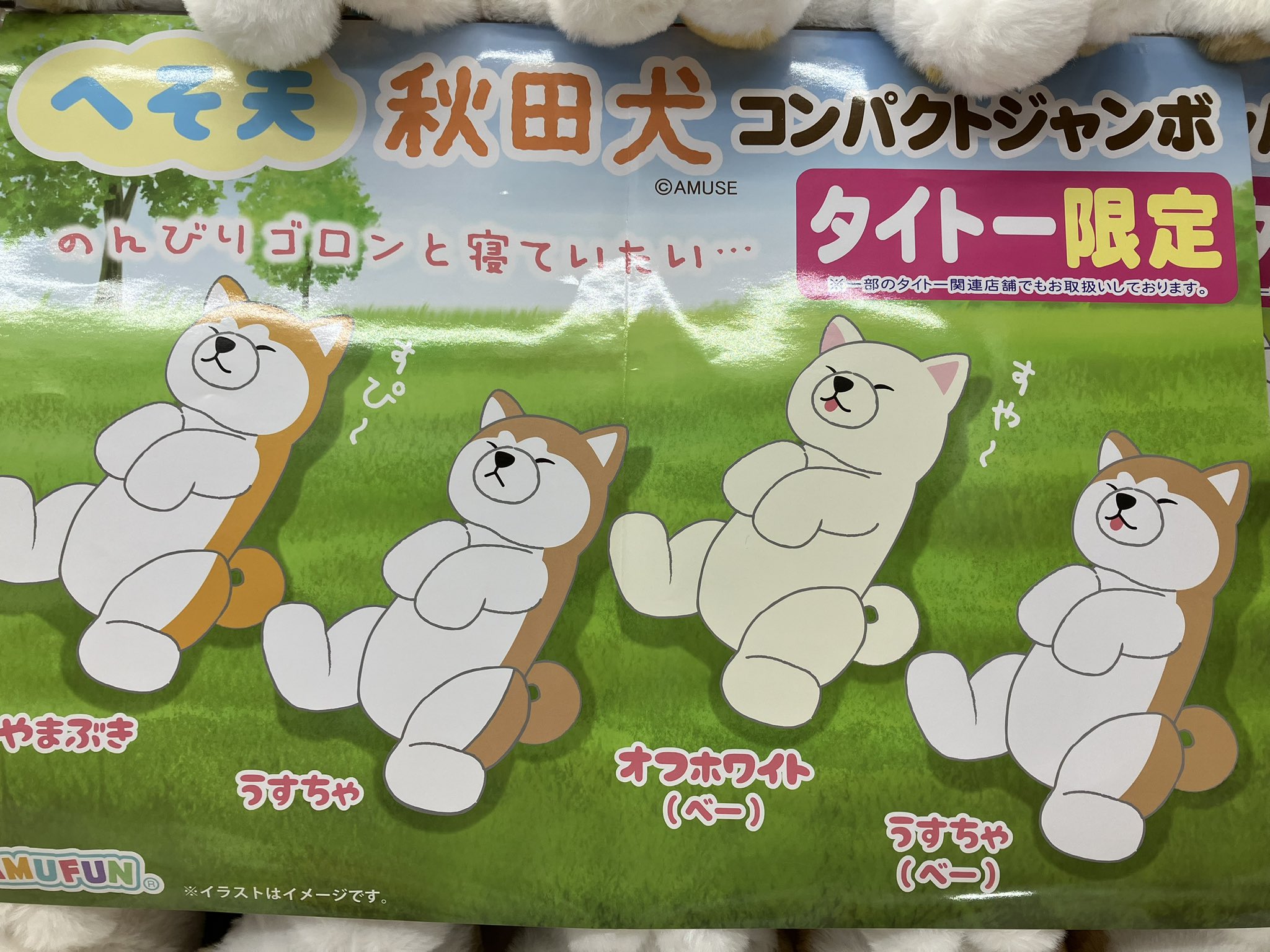 へそ天 秋田犬 コンパクトJB ぬいぐるみ オレンジ タイトー限定