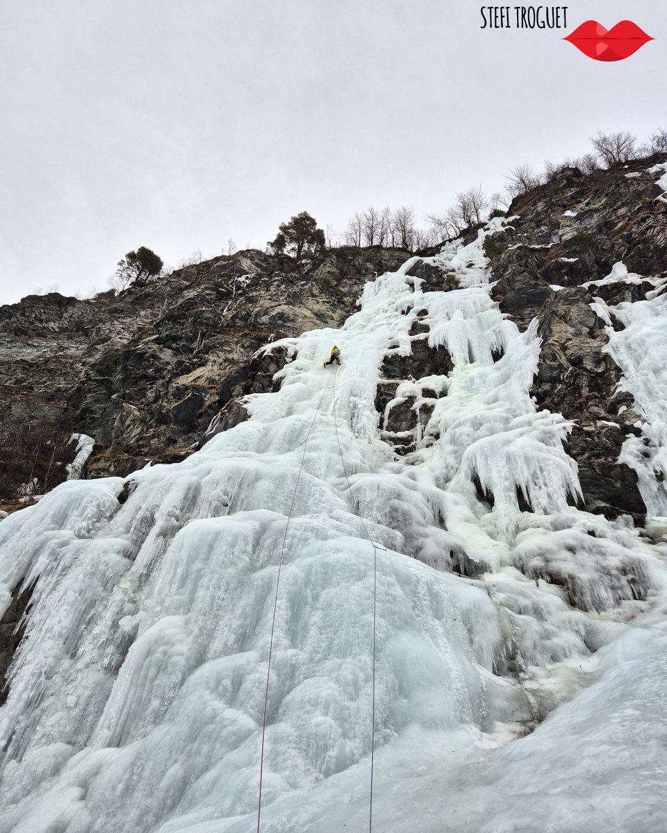 Stefi Troguet tweet media