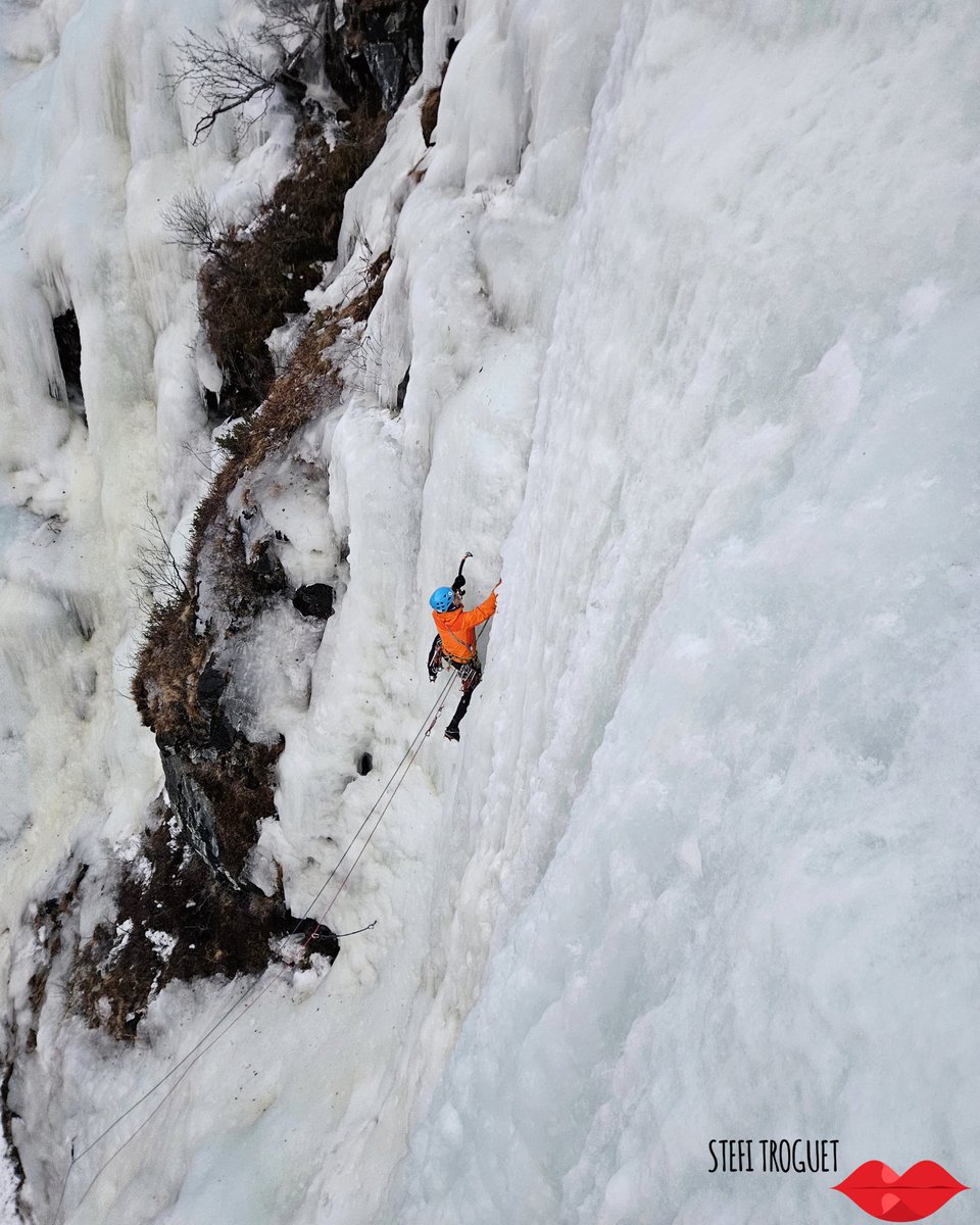 Stefi Troguet tweet media