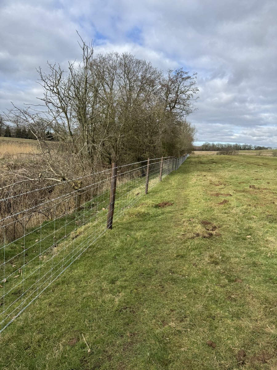 jason_JBC's tweet photo. Tricky terrain but it still went up a treat π¦Ύ #stockfence #jcb #fergie #lincolnshire #crackingon https://t.co/VIkitn5EjV