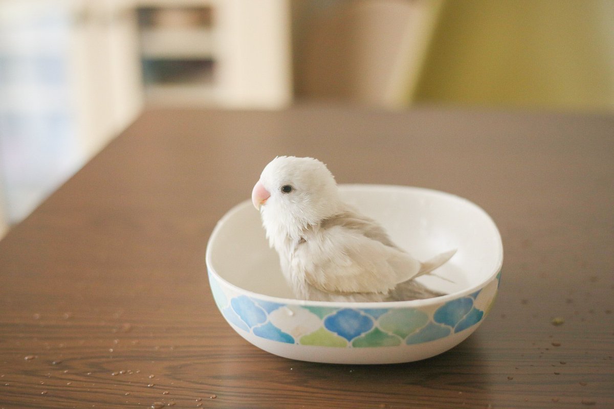 1日遅れのひな祭り！！！
ベビベビのトリ！