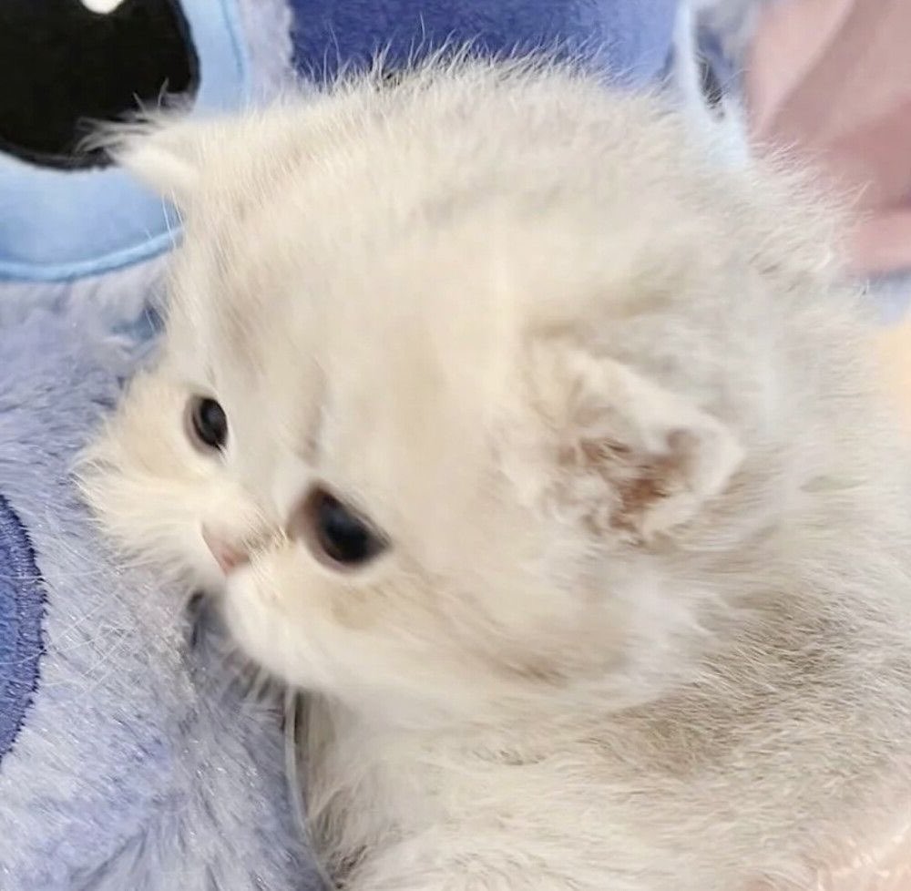 หุตกหมดแล่ว