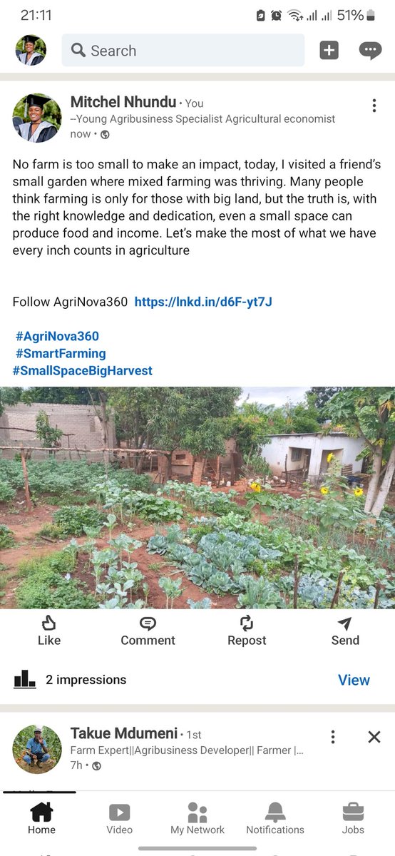 Mitchie35686262's tweet photo. 🇿🇼🌾👩‍🌾 https://t.co/r2ENdTEAUc