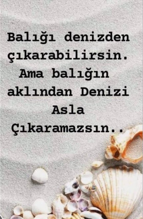 Özgür ALTUNCU (@bilmembilm73059) on Twitter photo 