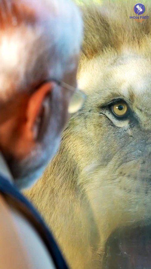 GlLh4H6bgAEgqi7?format=jpg&name=900x900