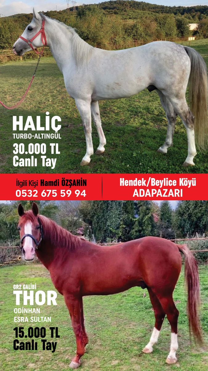 Haliç ve Thor Adapazarı’nda yetiştiricilerin hizmetinde…